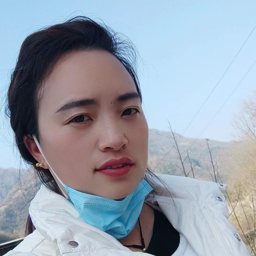 山 茶  花