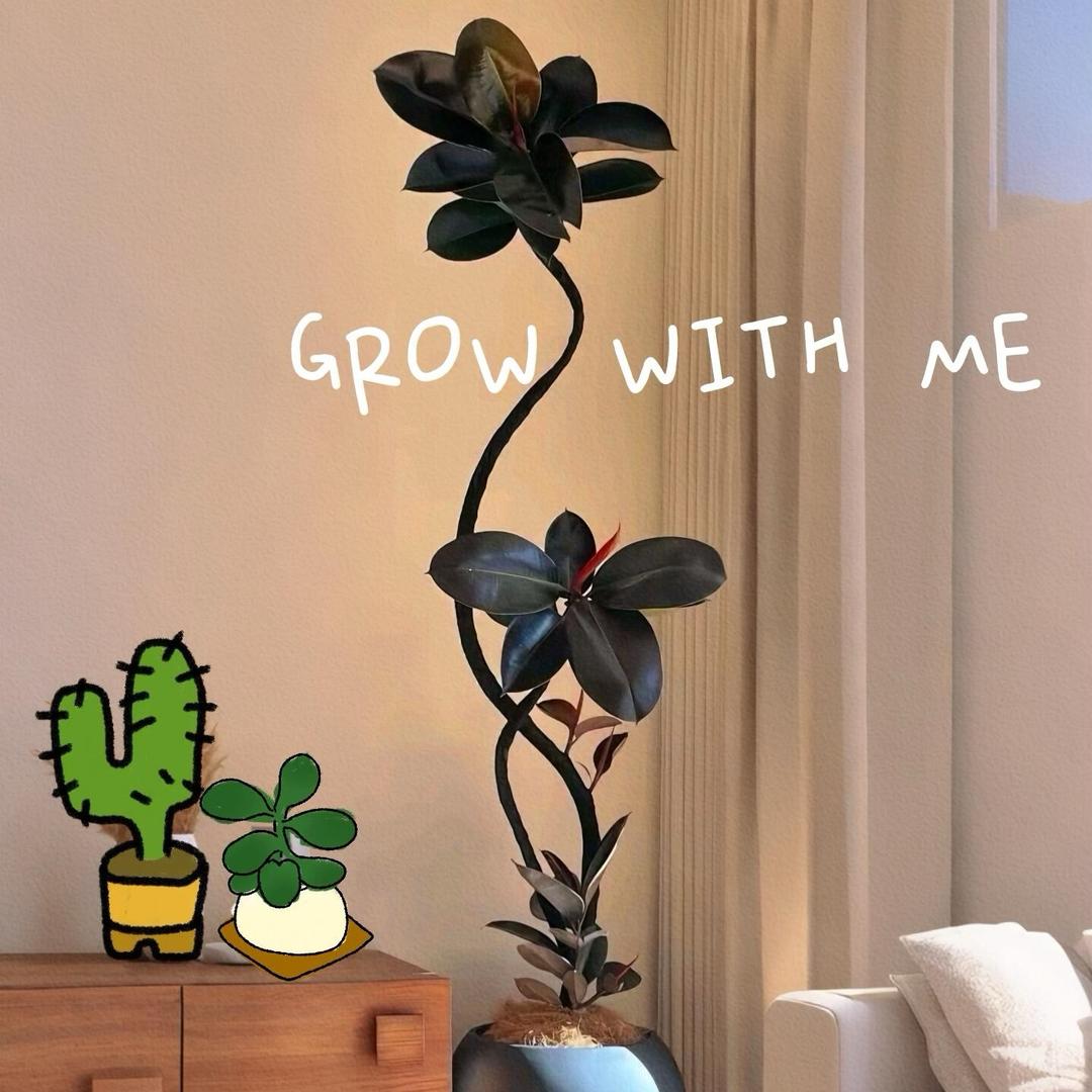 青氧花卉