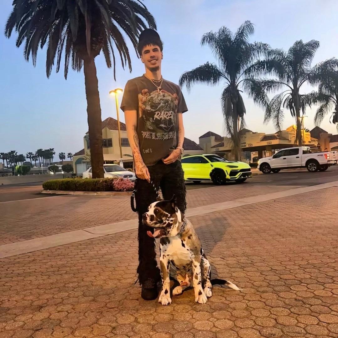 努力努力再努力