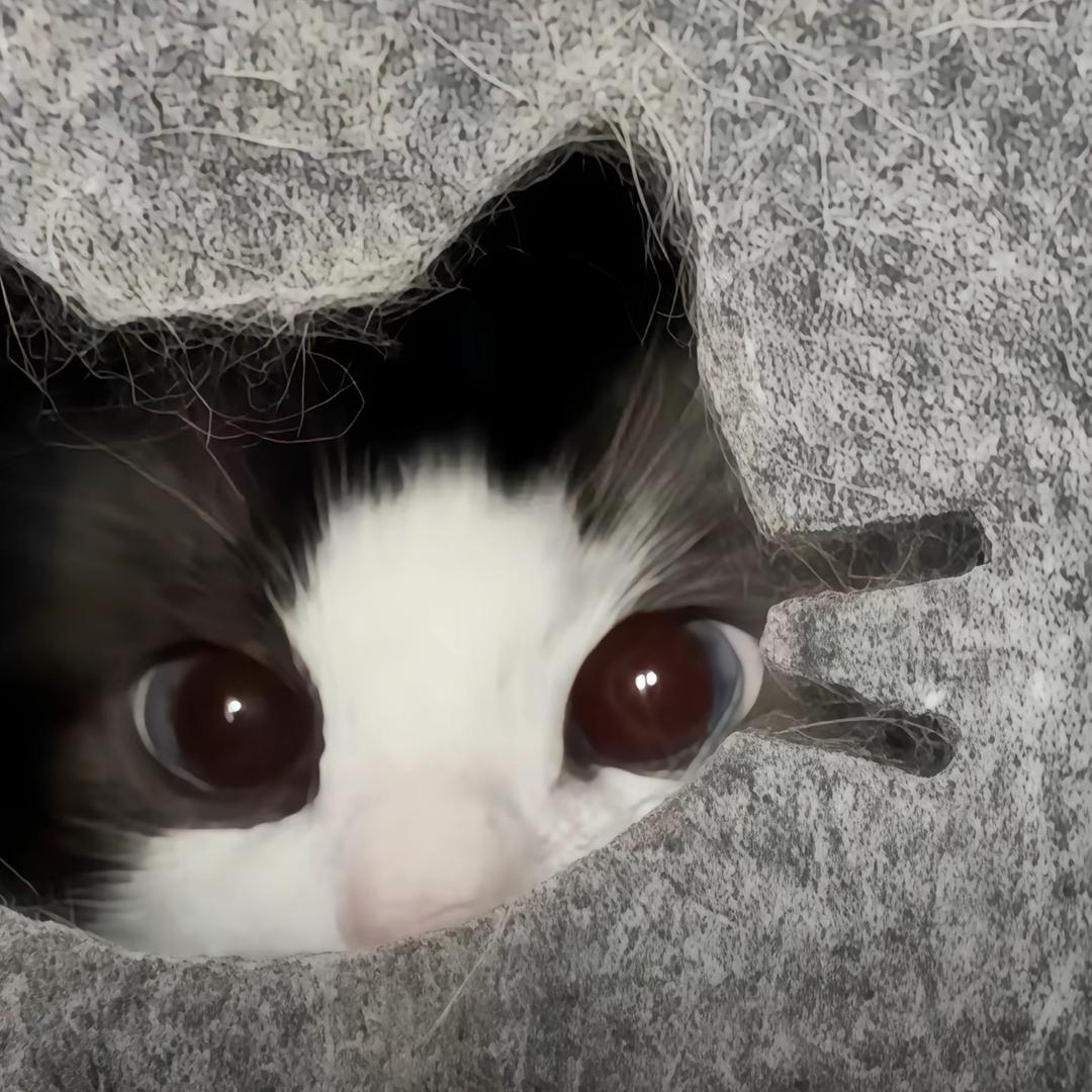 이가 ^_^