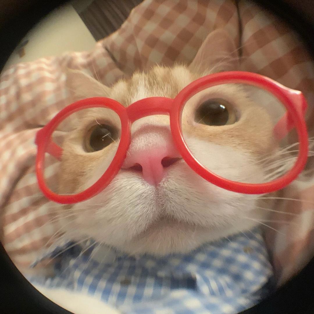 小丸oovo