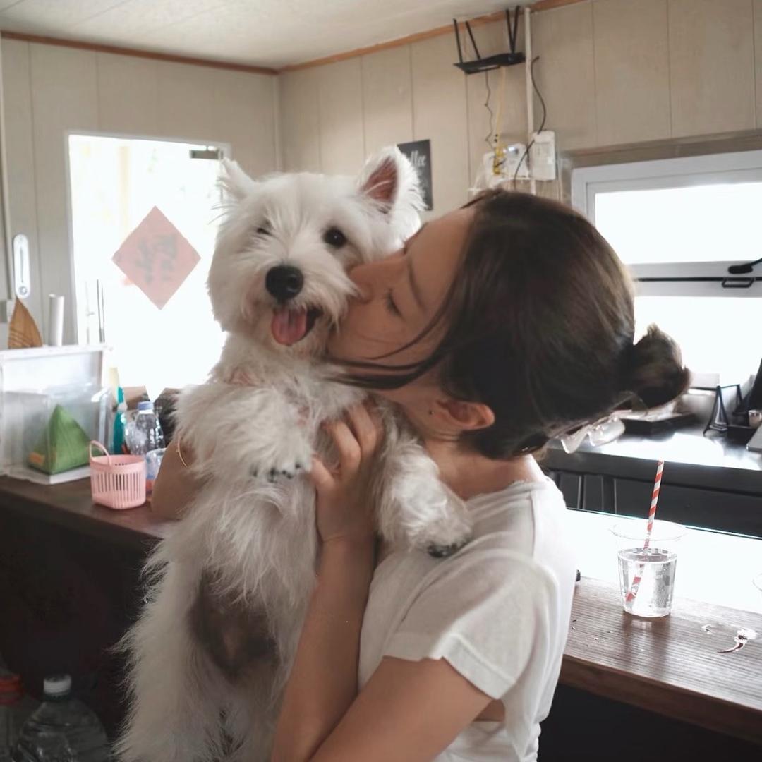不爱吃鱼_