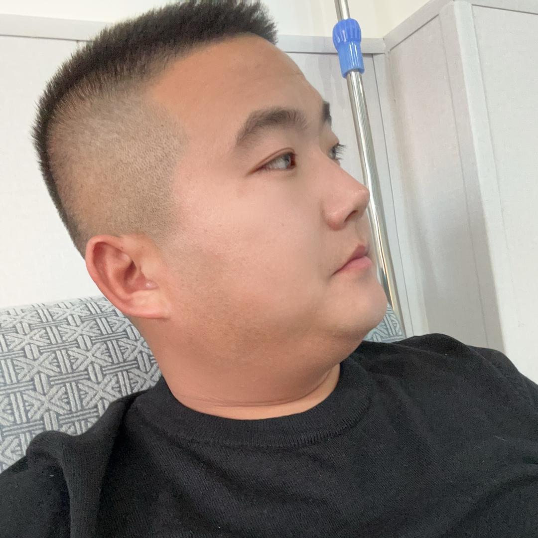 青海湖有狐狸🦊