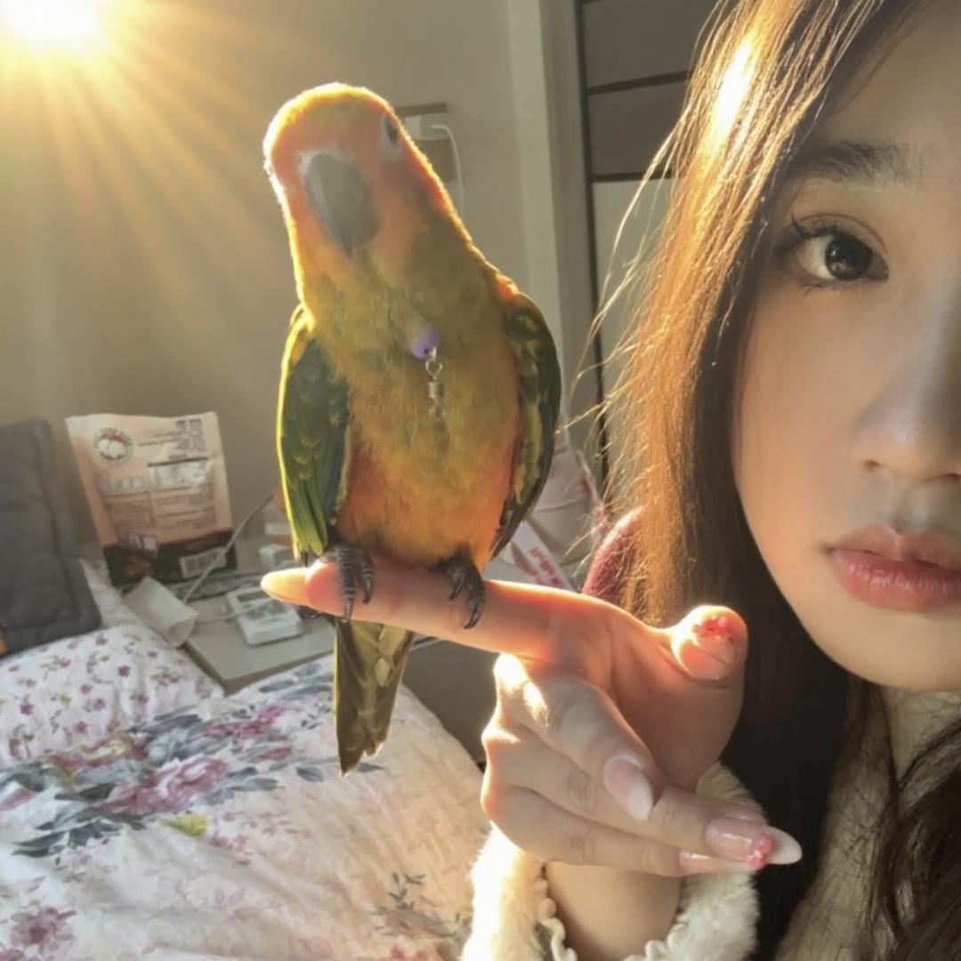悦鹦宠物🦜
