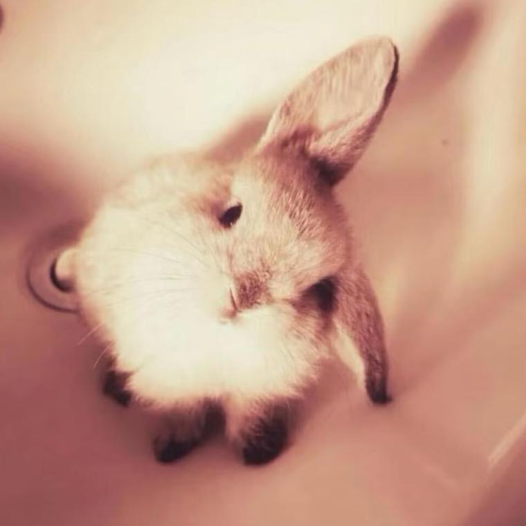 天下第一福星彤