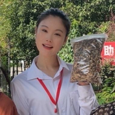 鹿茸菇助农