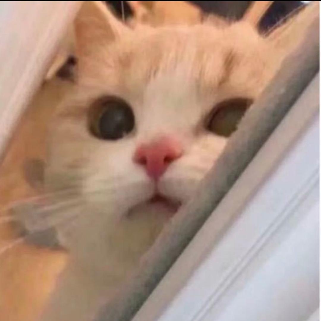 那个方卉