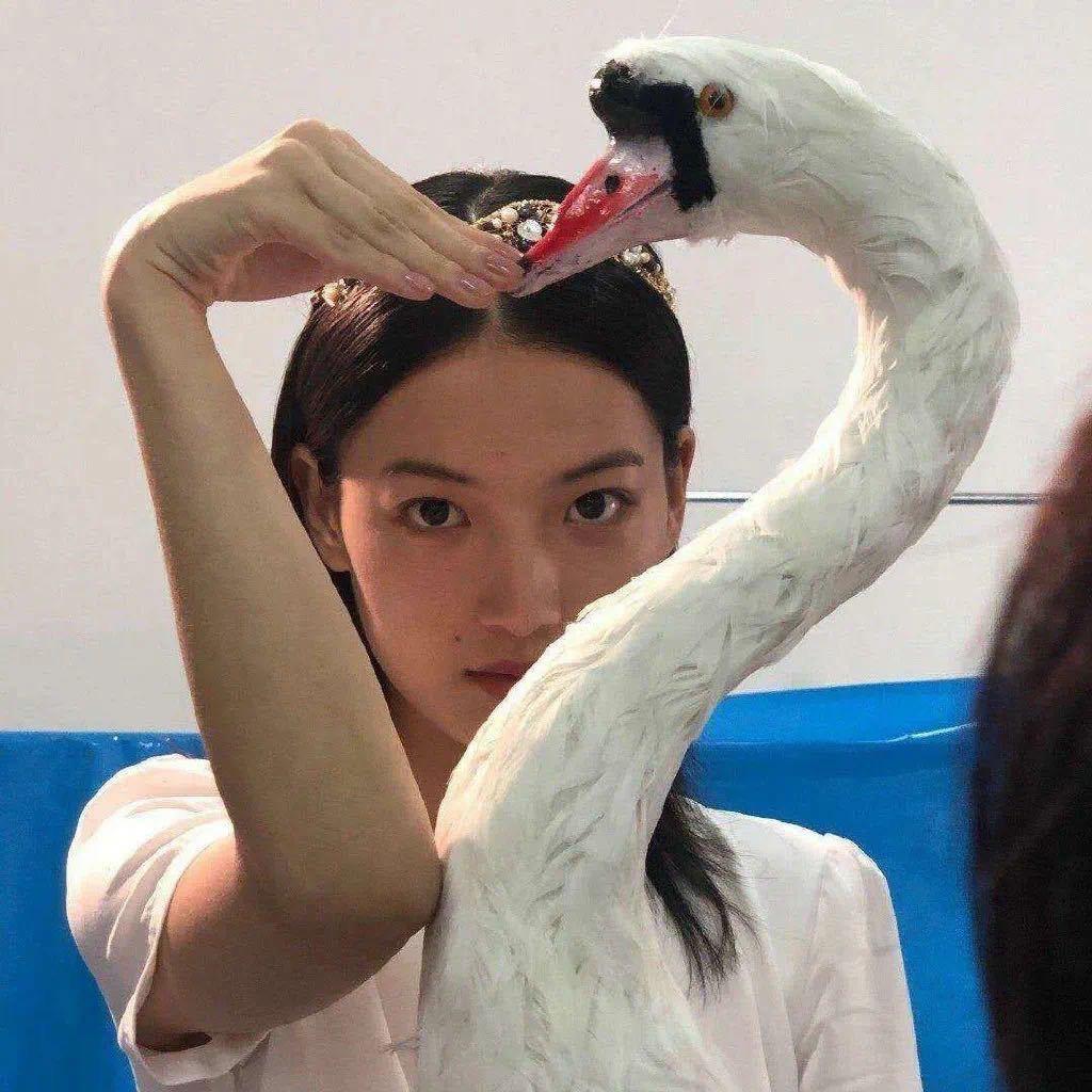 張碩🍊