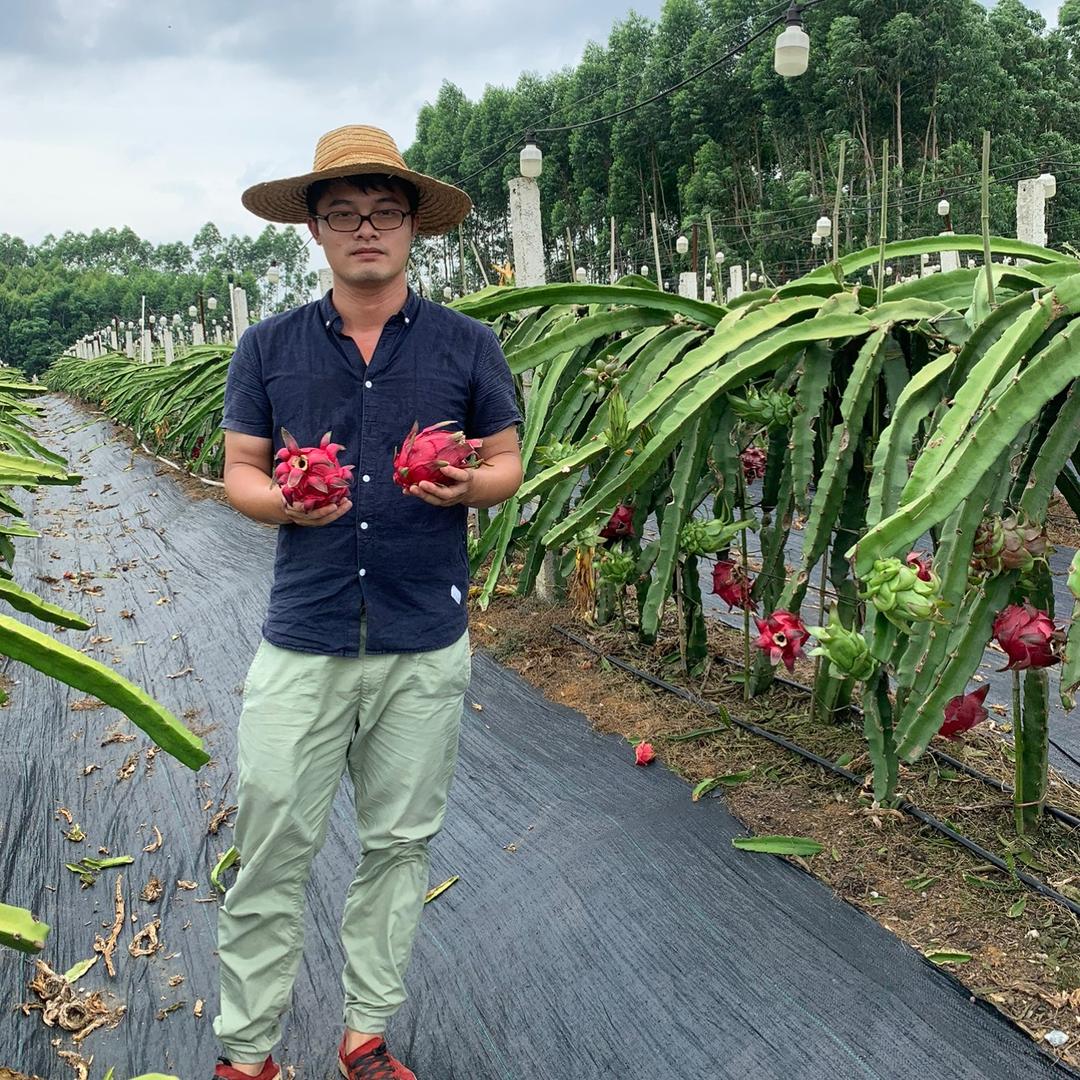 舒芃水果旗舰店