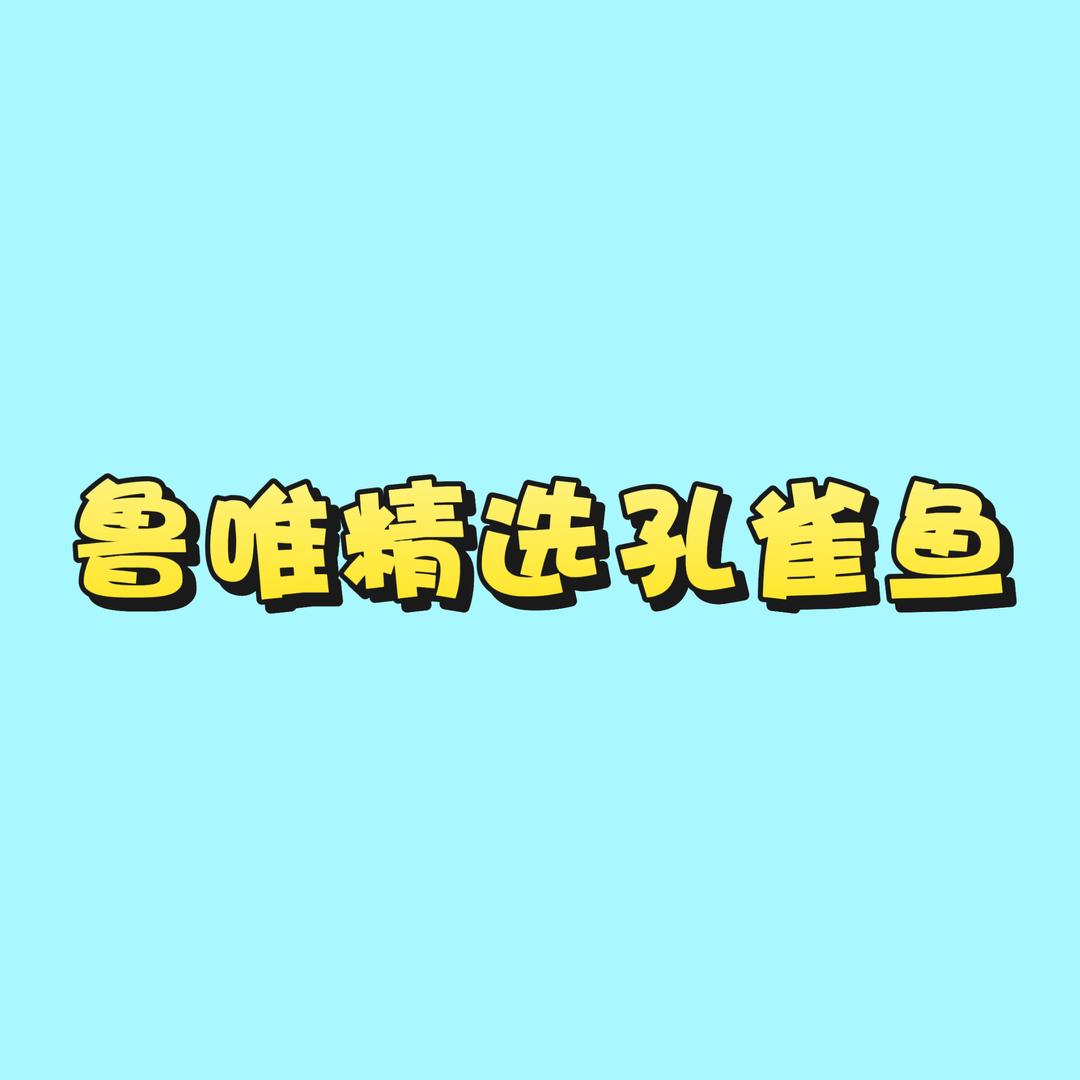 鲁唯精选观赏鱼