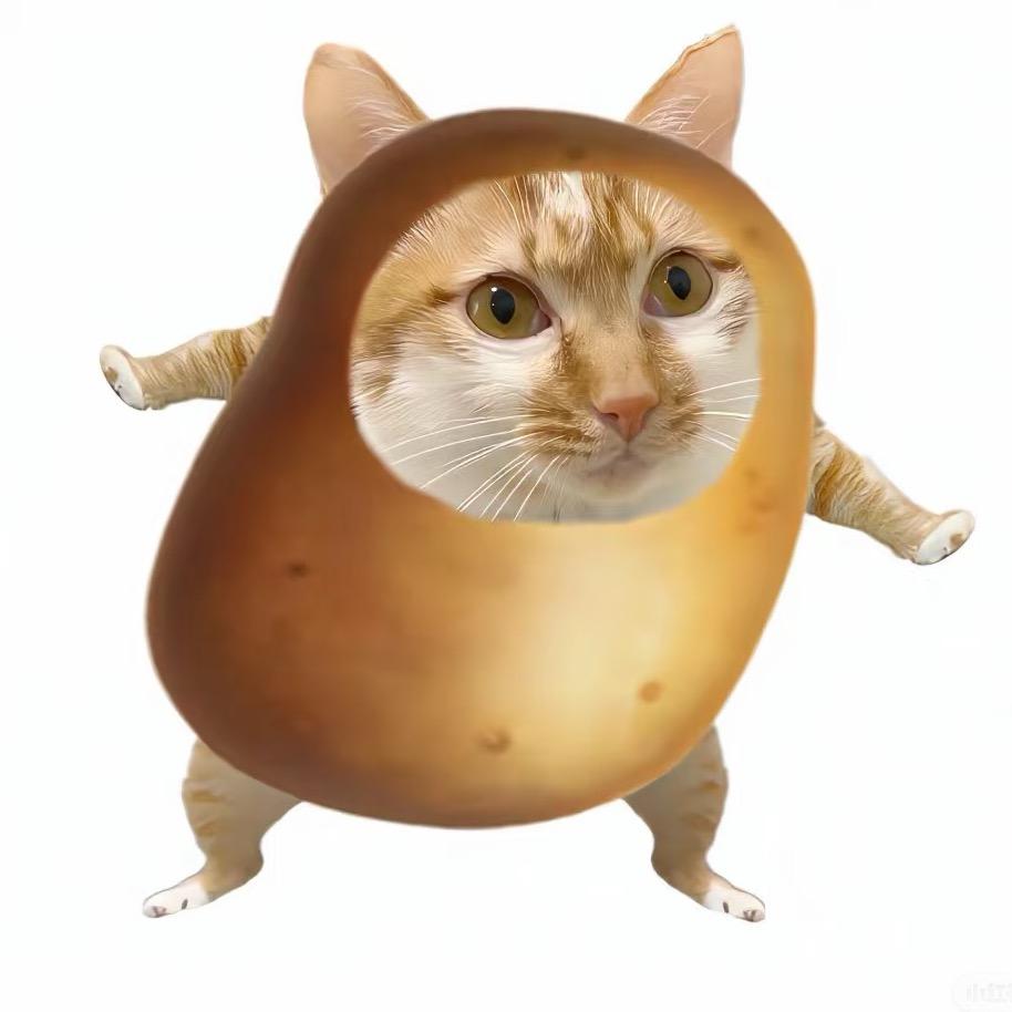 低质量土豆咪