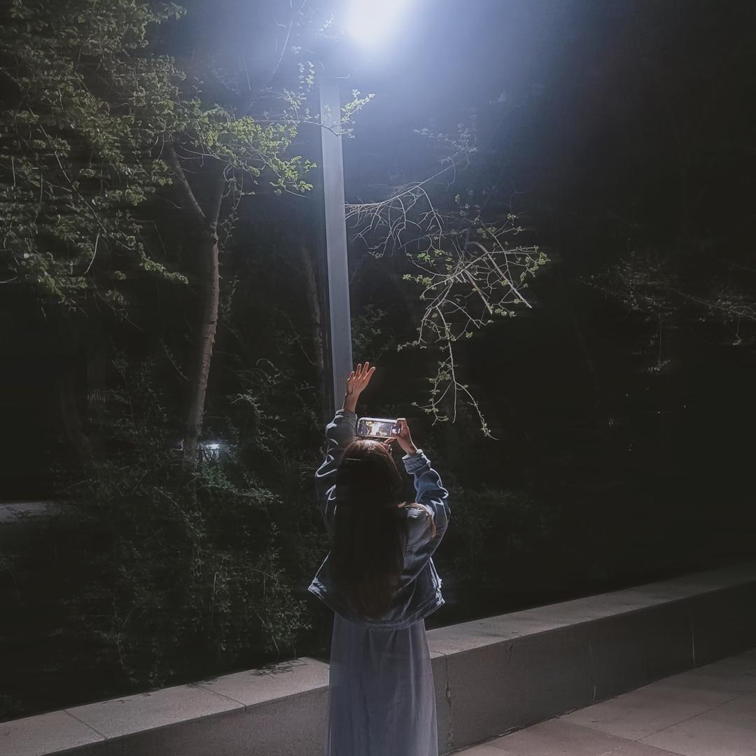 小小花椰菜