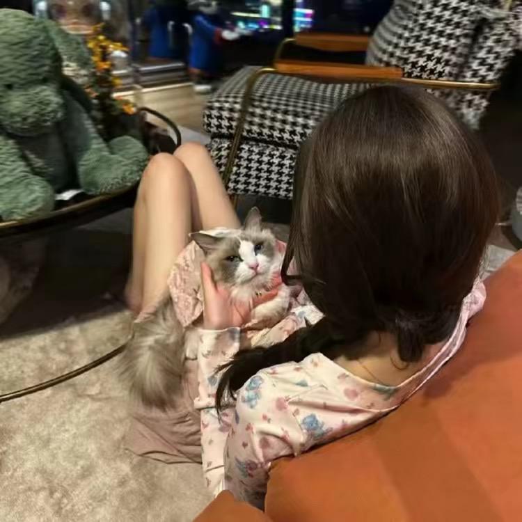冷冰冰.