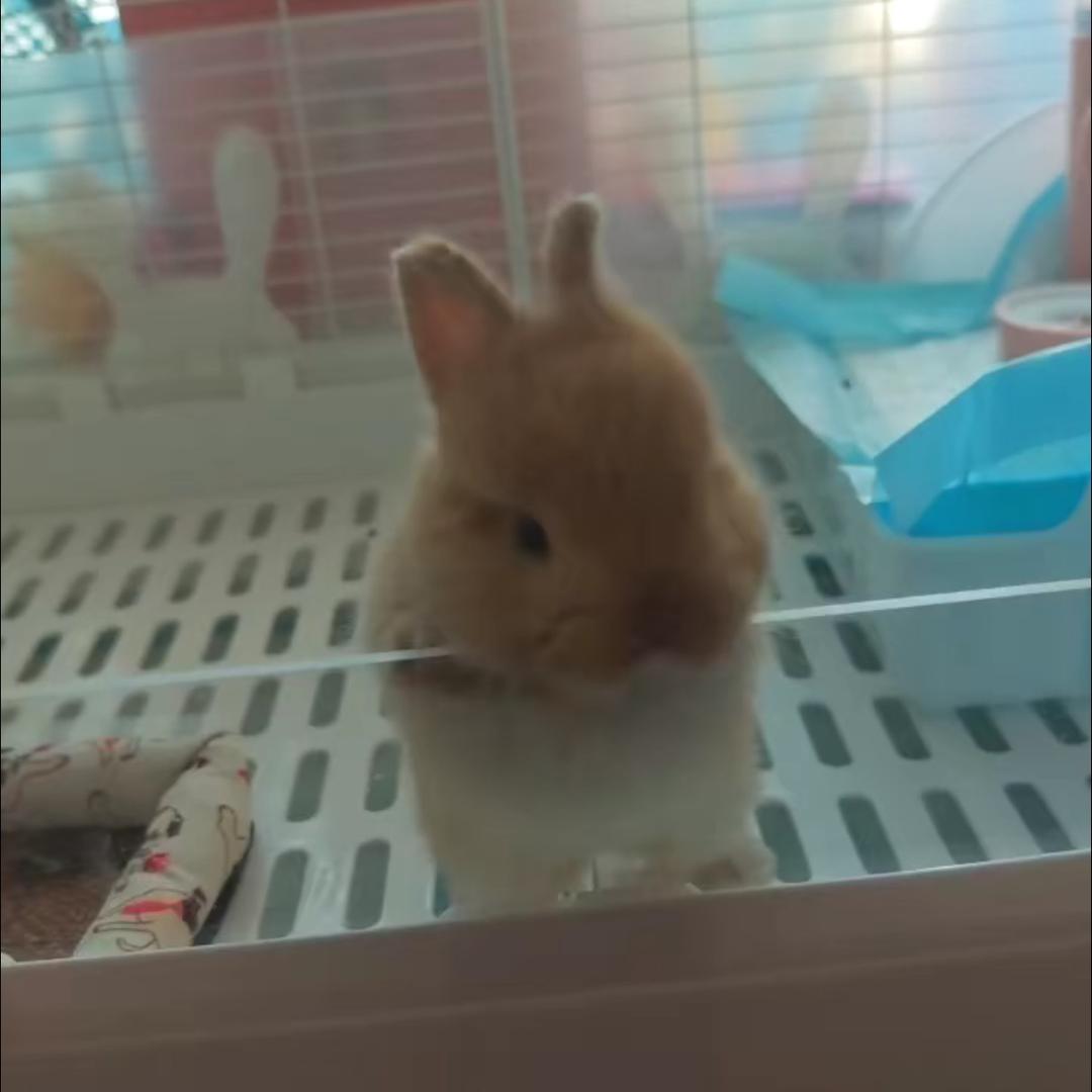 圈圈🦆