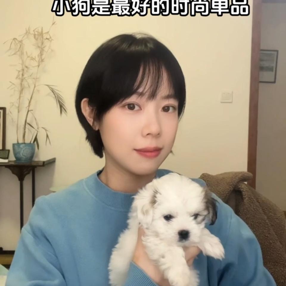 吉林省吉刚泰信3M特约施工中心