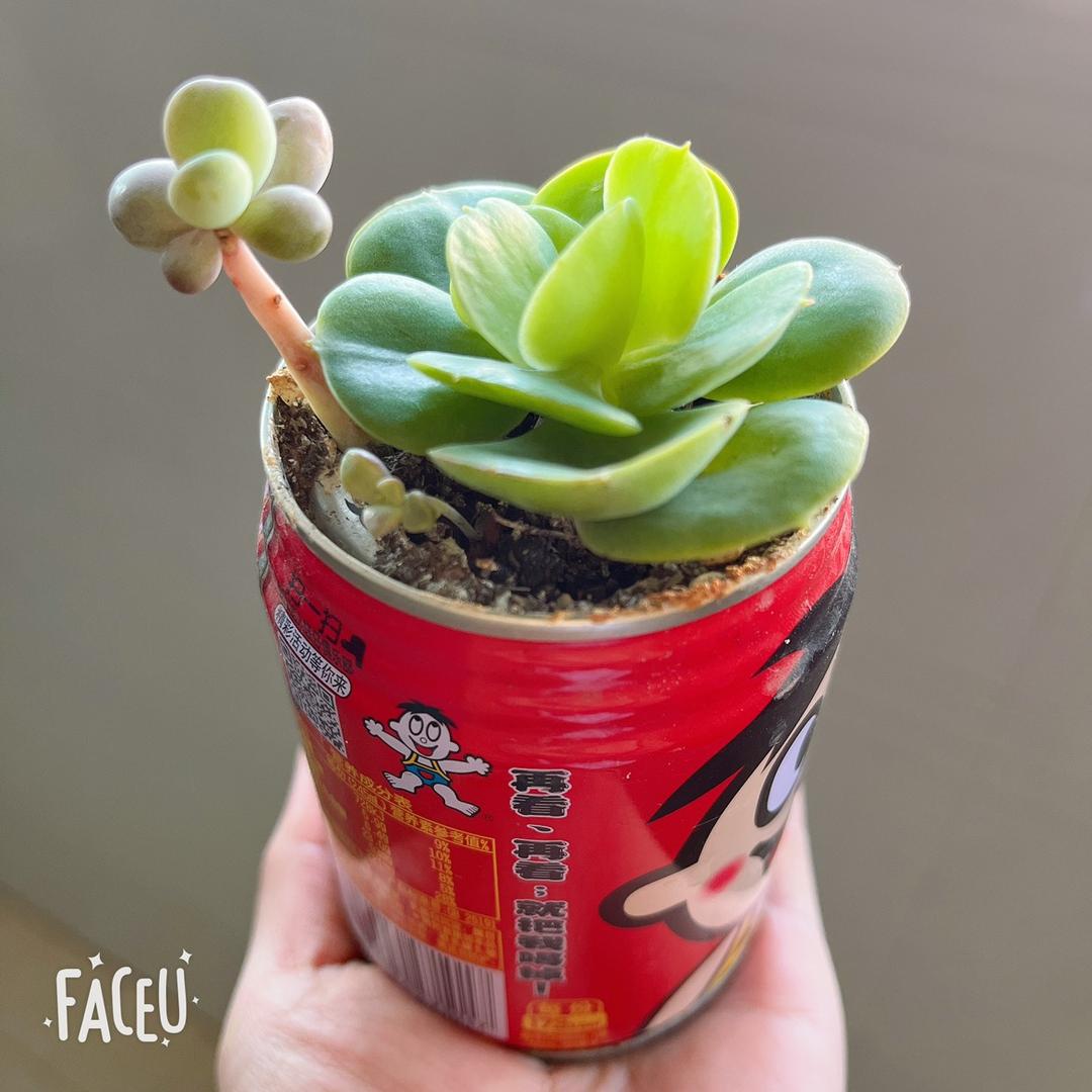 @熊初墨