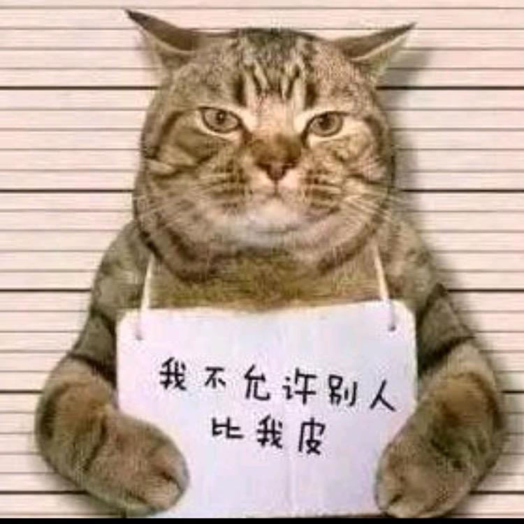 牛气冲天666