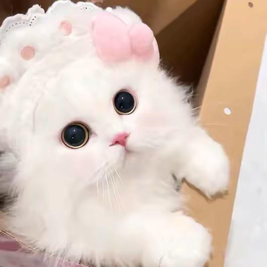 忧郁的农村入