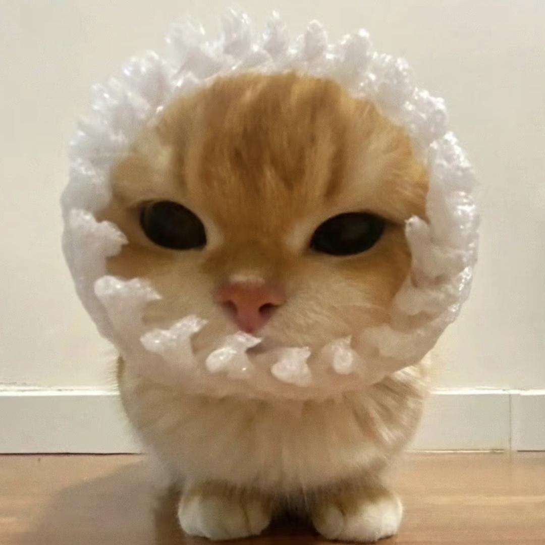 一只小甜鱼