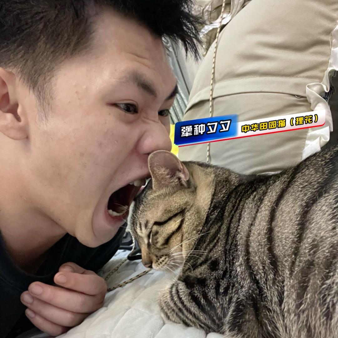 韦不怼的犟种喵
