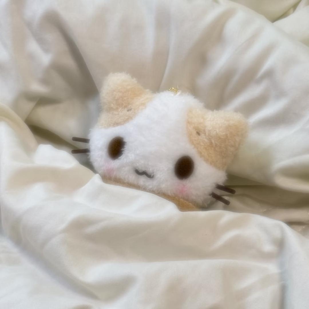 人丑嘴不甜长得危险还没钱