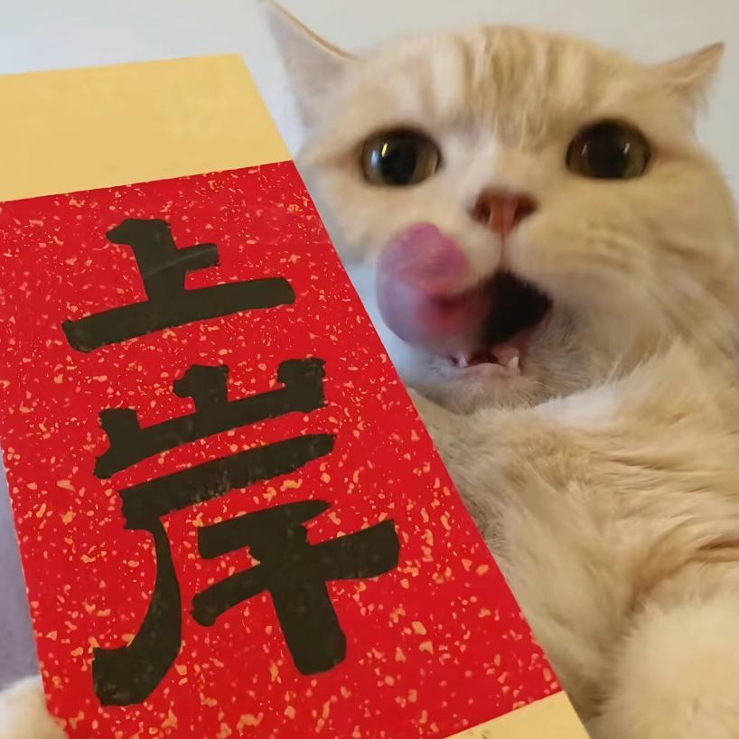 耿傲+幸福的小猫pp