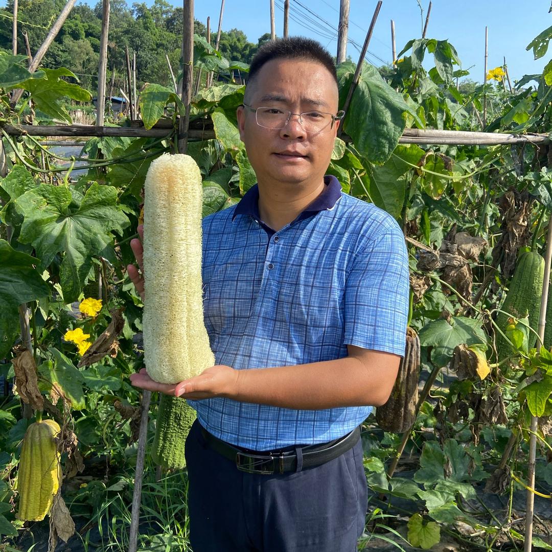 重庆市合川区丝瓜蔬菜研究所