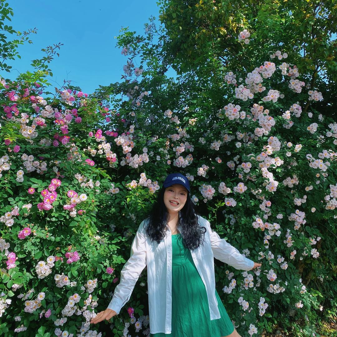 Wendy生活杂记