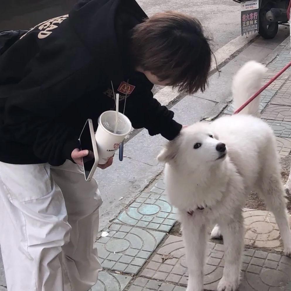 歌伴舞
