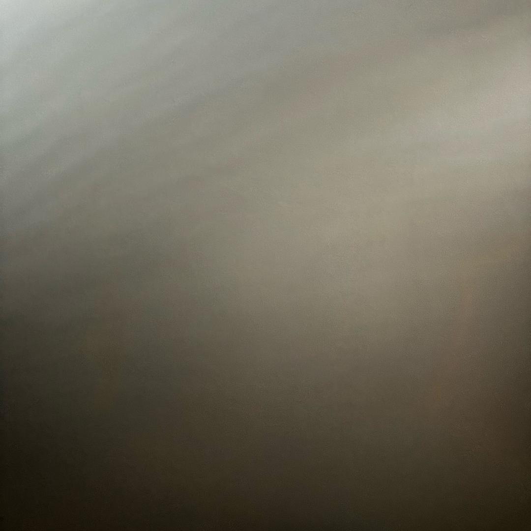 小哈哈的选品小队