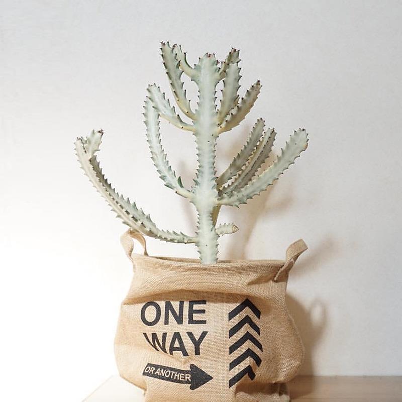 和好朋友一起玩