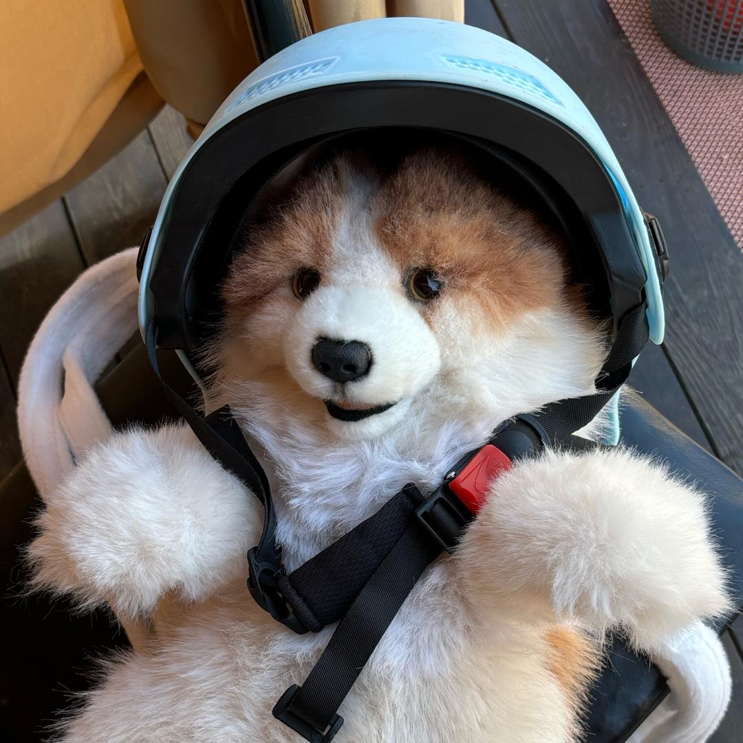 灵灵是小机灵鬼