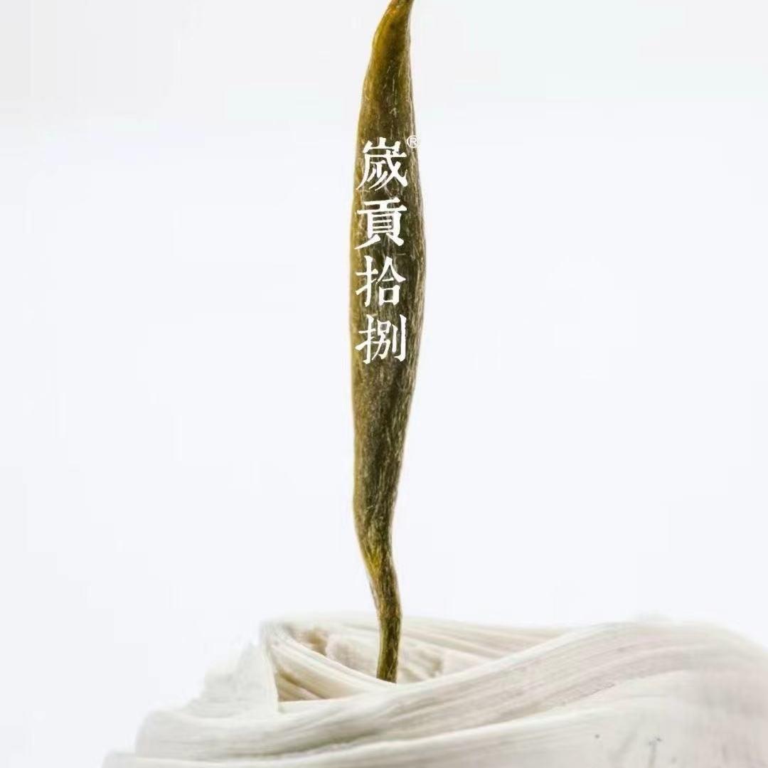 歲貢拾捌