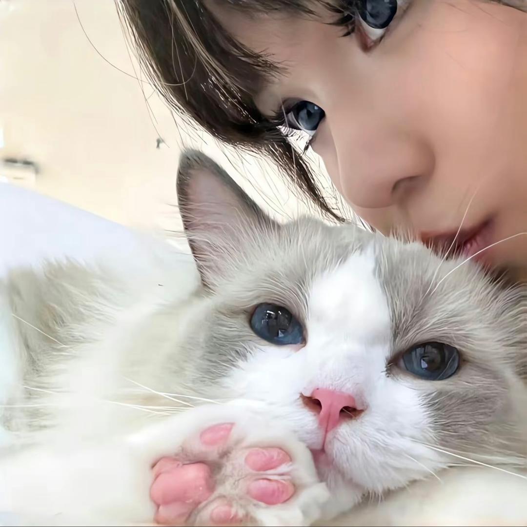 小羊.