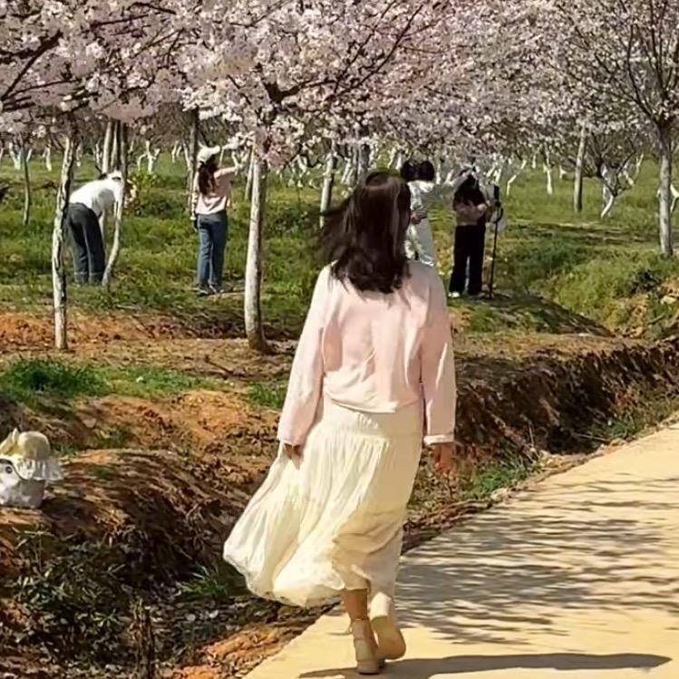 紫色花