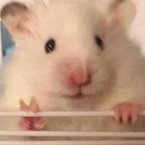 顺子