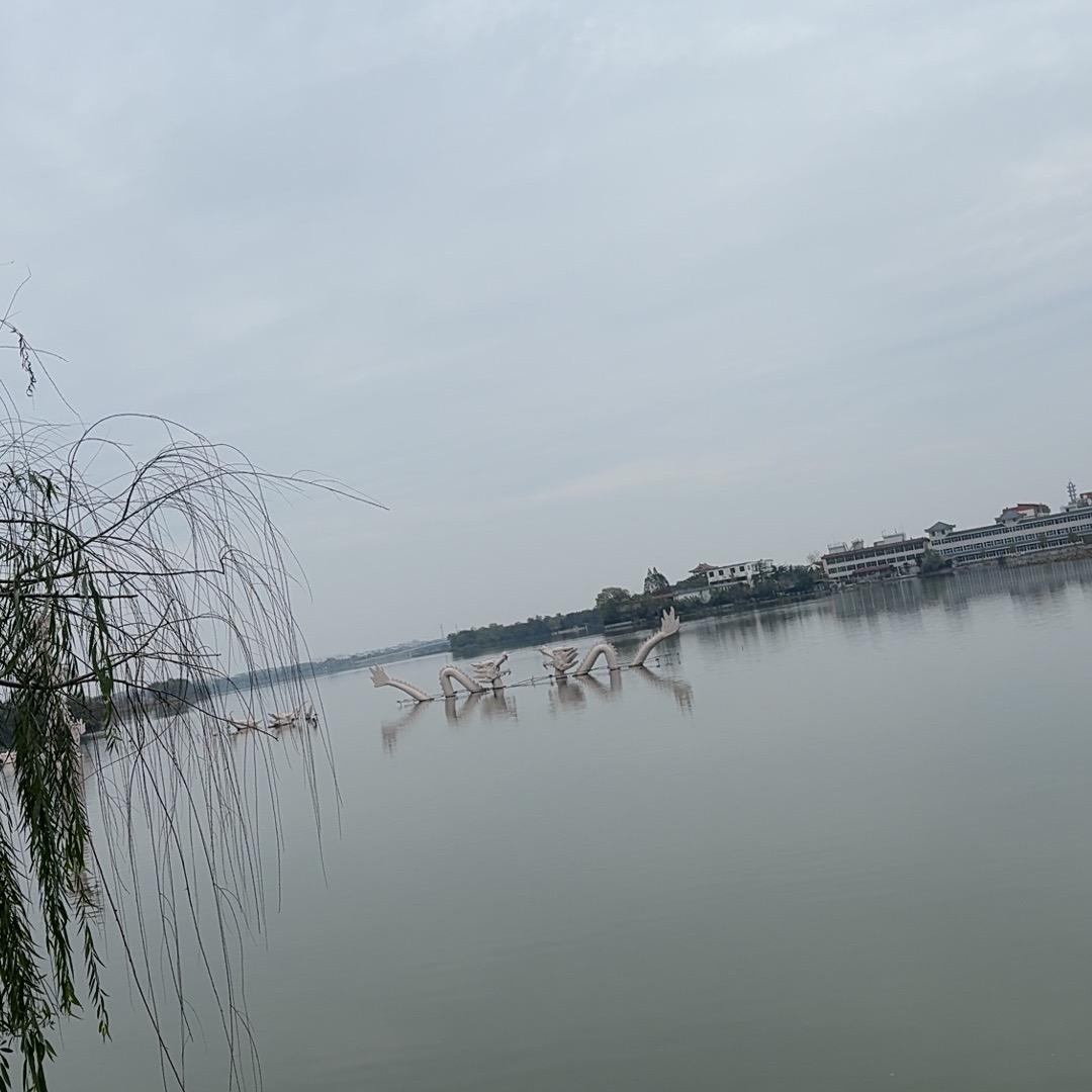是六宝吖