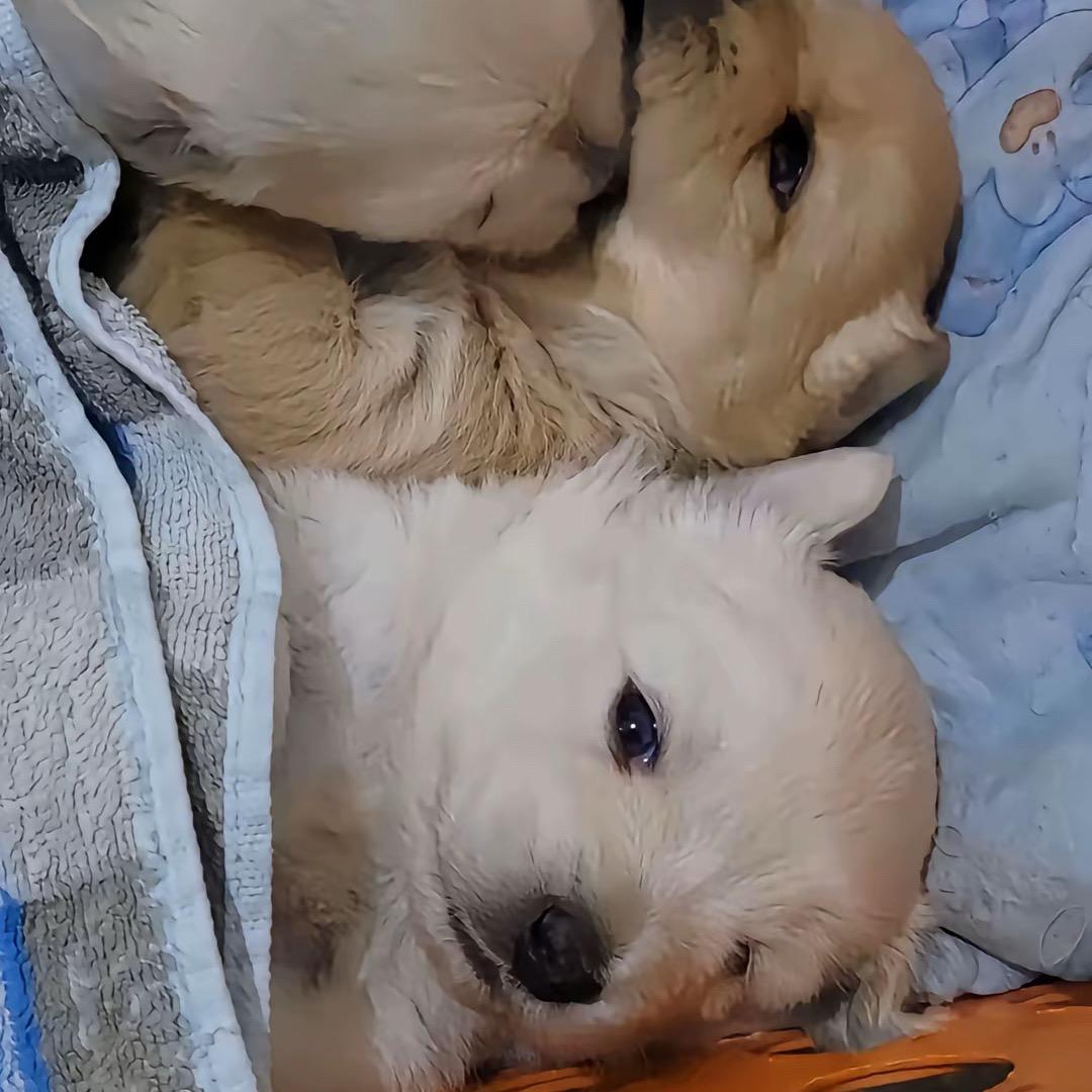 王权富贵
