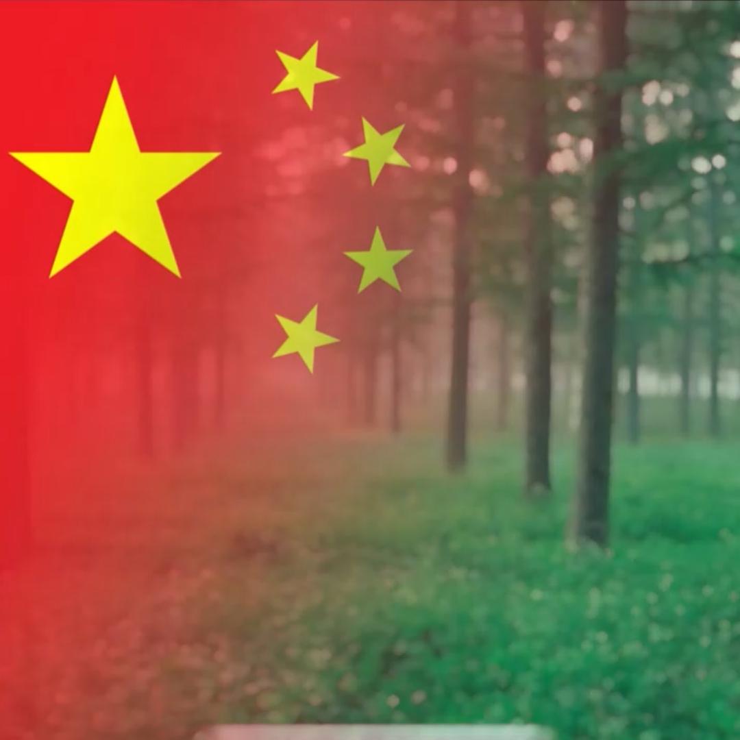 觀