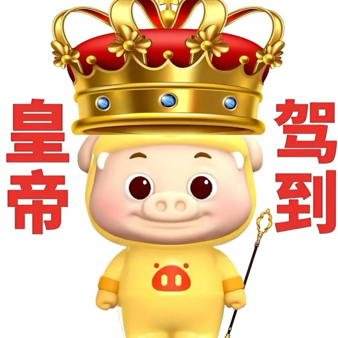 酸辣粉不要醋-