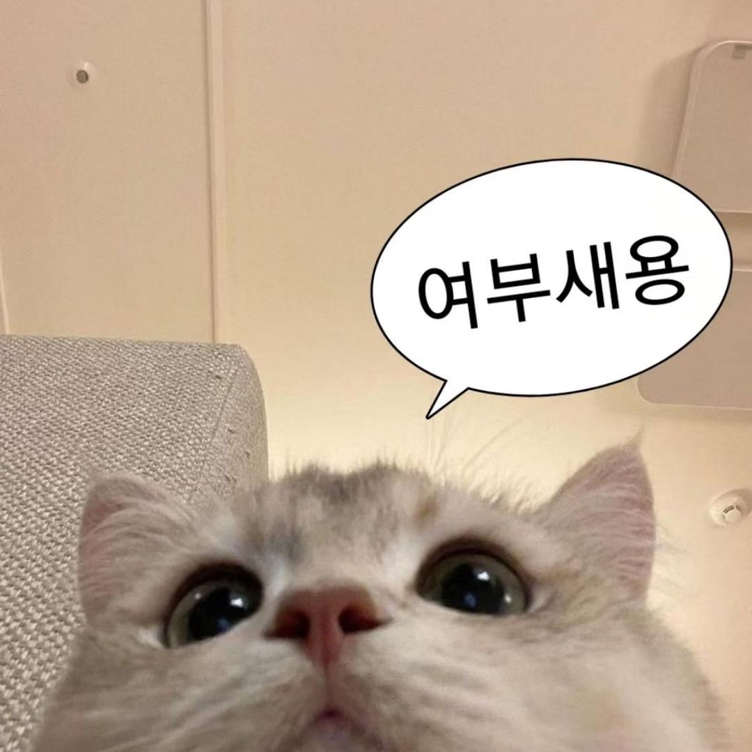 真理·