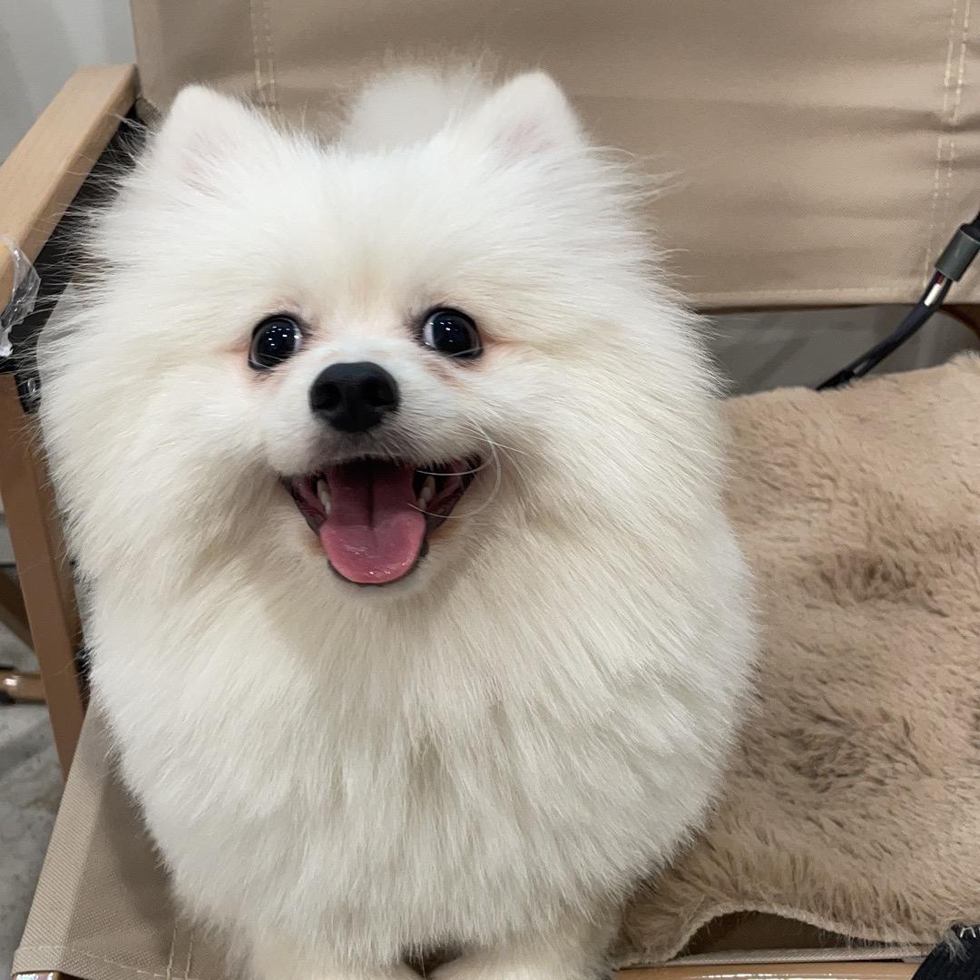 小洛