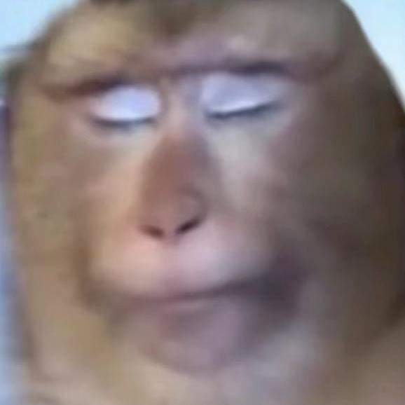 斗战吗喽