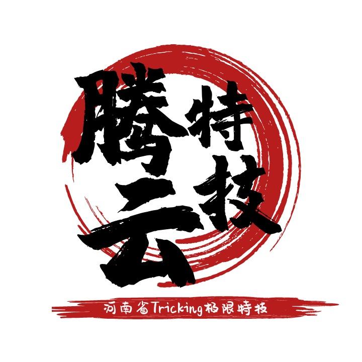 腾云空翻特技训练基地
