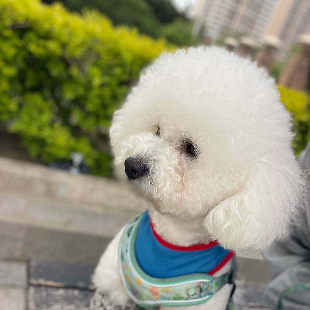 是可乐呀