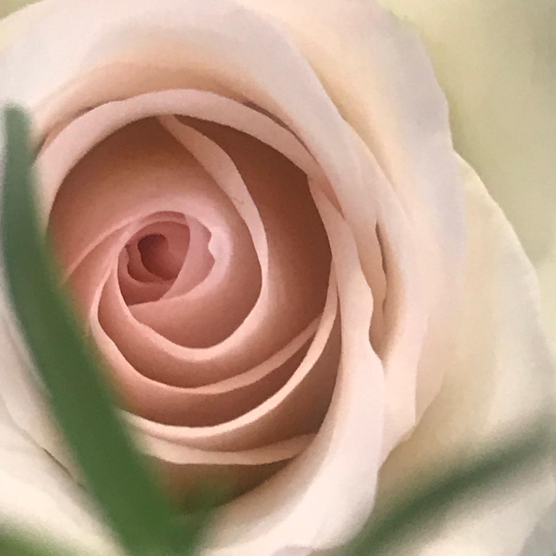 越粉