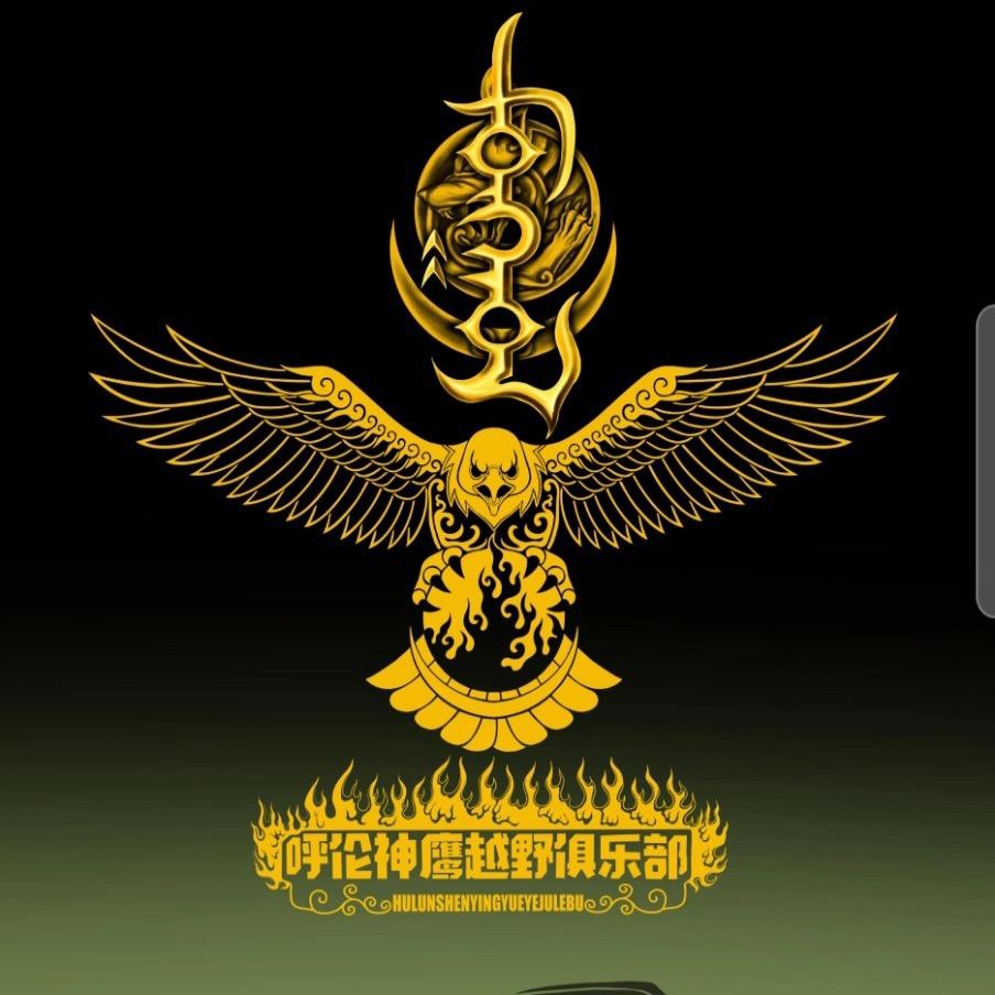 呼伦神鹰🦅