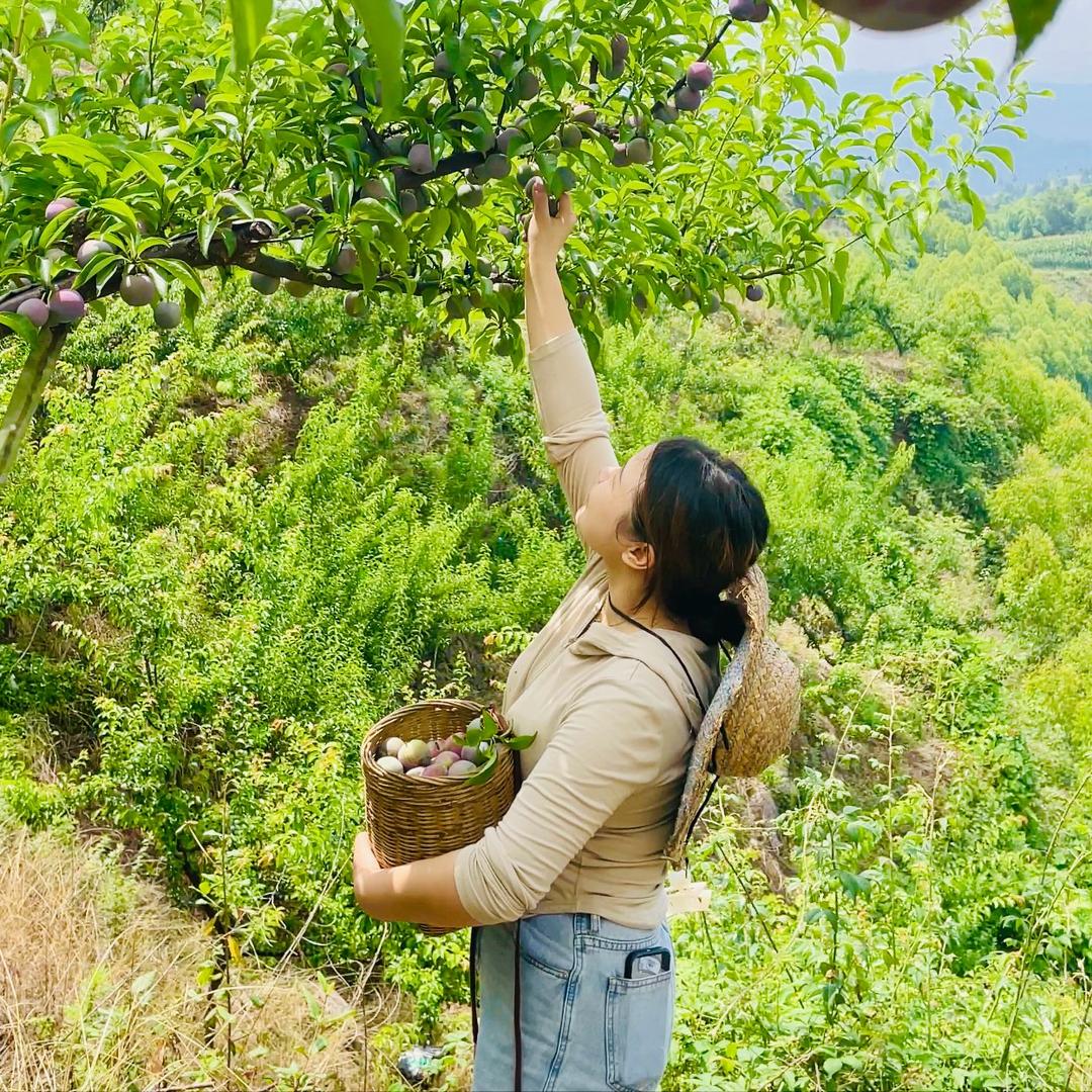 金满地果业