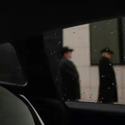 走马观🌸