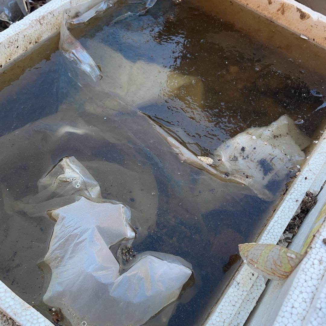 广州湖遇商贸有限公司宠粉1231号